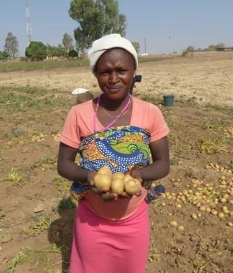 The IDPs Farming Initiative (Harvest).